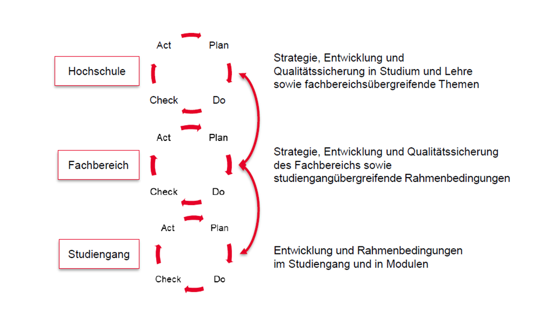 Qualitätsregelkreis, welcher vier Phasen durchläuft: Plan, Do, Check, Act. Ein Studienangebot, Informations- oder Beratungsangebot wird zunächst geplant, dann durchgeführt, anschließend überprüft und schließlich gegebenenfalls mit Korrekturen erneut umgesetzt.